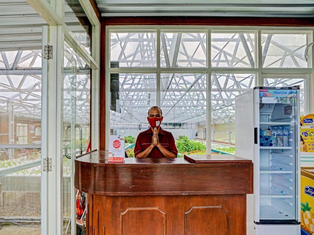 Oyo 90225 Rumah Bambu Trawas Syariah Pasuruan Eksteriør bilde